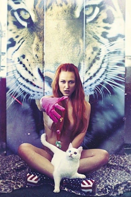 Penelope A. X Jeffrey Campbell Shoes