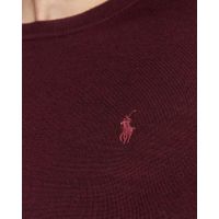 Polo Ralph Lauren - Ls Sf Cn Pp-Long Sleeve-Pullover 