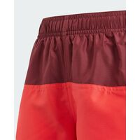 Παιδικό Σορτς Μαγιό Adidas - Cb Sh