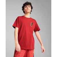 Ανδρική Κοντομάνικη Μπλούζα Puma - Wardrobe Ess Road To Unity Graphic