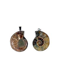 Mani - Ammonite Pendant  