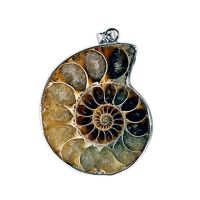 Mani - Ammonite Pendant  