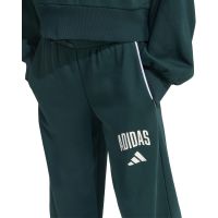 Adidas - Jg Clgt W Pnt   