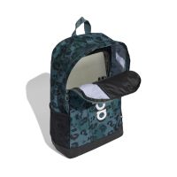 Γυναικεία Τσάντα Adidas - Lin Gfx  Bp W