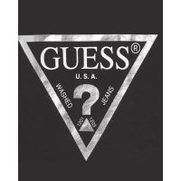 Guess - Ls T-Shirt_Core  