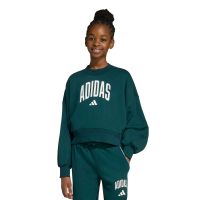 Adidas - Jg Clgt Ft Swt       