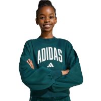 Adidas - Jg Clgt Ft Swt       