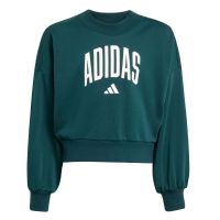 Adidas - Jg Clgt Ft Swt       