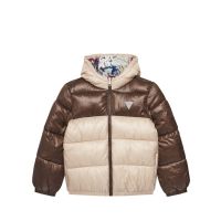 Guess - Padded Hooded Ls Jacket W/Zip  