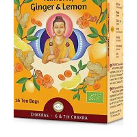 Shoti Maa - Vision Organic Herbal Tea 32 g