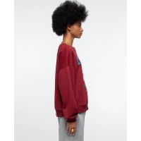 Γυναικεία Μπλούζα Φούτερ Peace And Chaos - Tigris