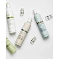 Milk Shake - Ms Normalizing Blend Shampoo 300Ml 