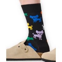 Happy Socks - Chihuahua Sock