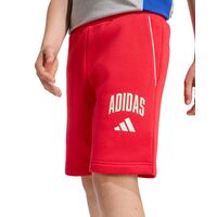 Adidas - J Clgt Fl Sho  