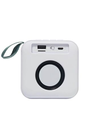 Sunnylife - Portable Travel Speaker The Vacay Olive Stripe