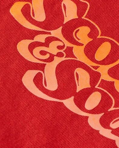 Ανδρική Κοντομάνικη Μπλούζα Scotch &amp; Soda - Front Back Artwork