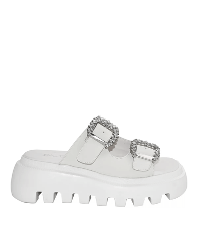 Favela - Chimera Platforms   