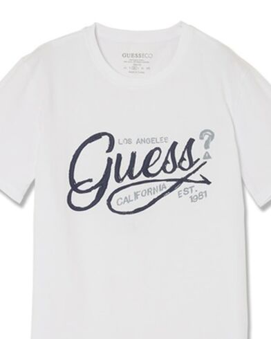 Ανδρική Κοντομάνικη Μπλούζα Guess - Ss Cn Guess Logo