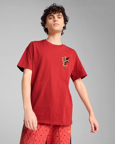 Ανδρική Κοντομάνικη Μπλούζα Puma - Wardrobe Ess Road To Unity Graphic