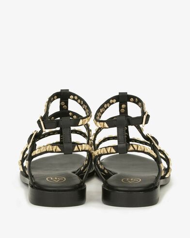 Ash - Pandora Combo A   