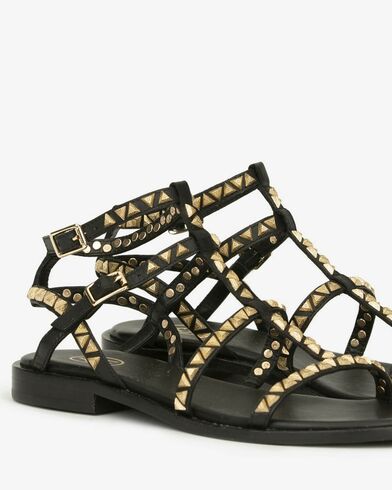 Ash - Pandora Combo A   