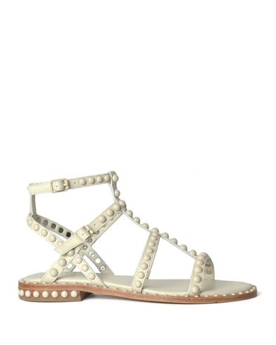 Ash - Precious Bis Combo K    