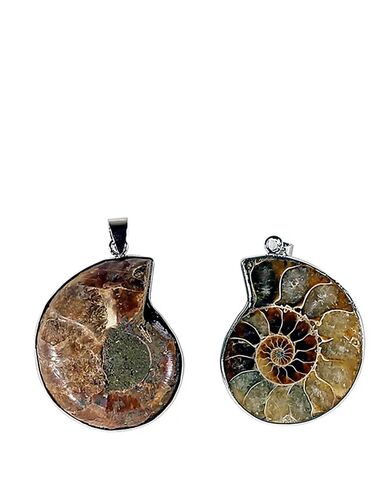 Mani - Ammonite Pendant  