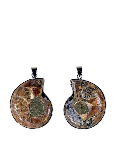 Mani - Ammonite Pendant  