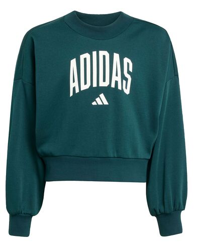 Παιδική Μακρυμάνικη Μπλούζα Adidas - Jg Clgt Ft