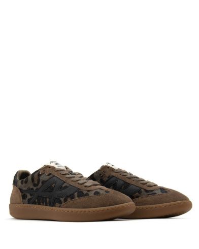 Ash - F25-Sunset04 Combo D   