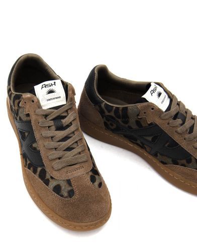 Ash - F25-Sunset04 Combo D   