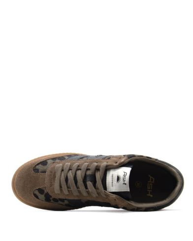 Ash - F25-Sunset04 Combo D   