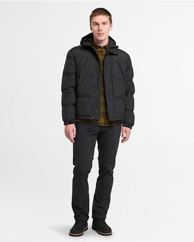 Ανδρικό Jacket Timberland - Durable Water Repellent Puffer