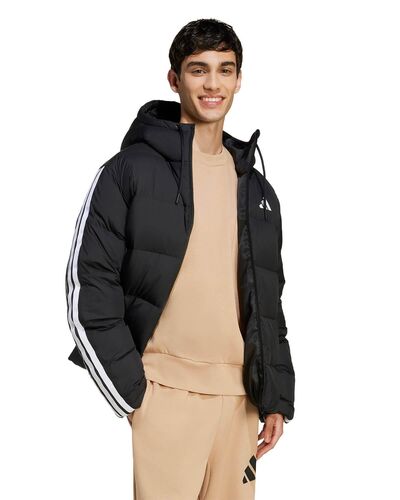 Ανδρικό Jacket Adidas - Ess 3S P D Hd