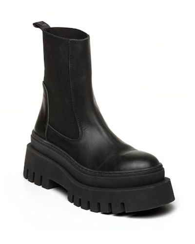 Steve Madden - Fw25-2 Cassandra 03002    