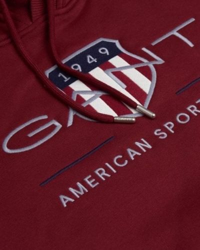 Ανδρική  Μπλούζα Φούτερ με Κουκούλα Gant - 7082